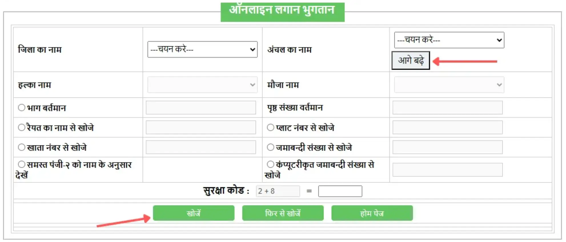 bihar land revenue online form 